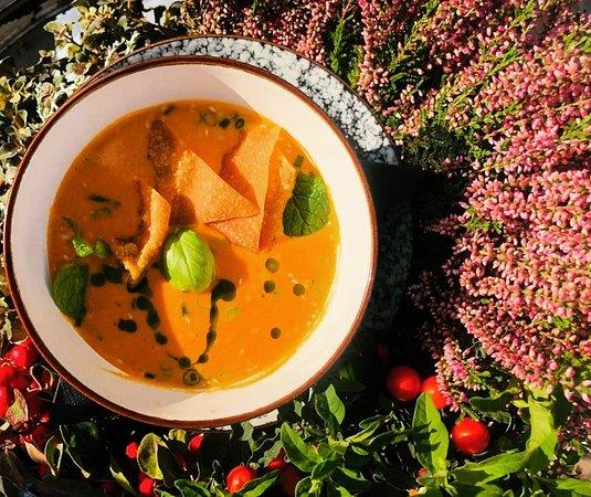 Przyganial Kociol Wokowi